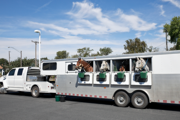 Horse Trailer with four horses being towed by a truck.